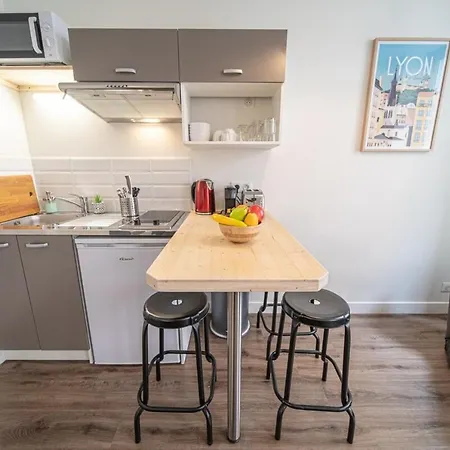 La Maison Gratte Ciel-studio Villeurbanne-jardin Villeurbanne
